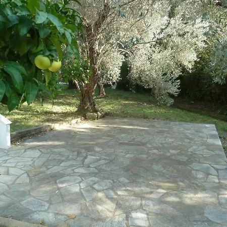 Olive Tree Villa Skiathos Apartment *
