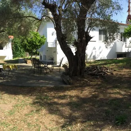 Olive Tree Villa Skiathos *